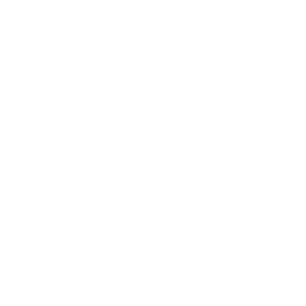 Burns-special-events-white-logo