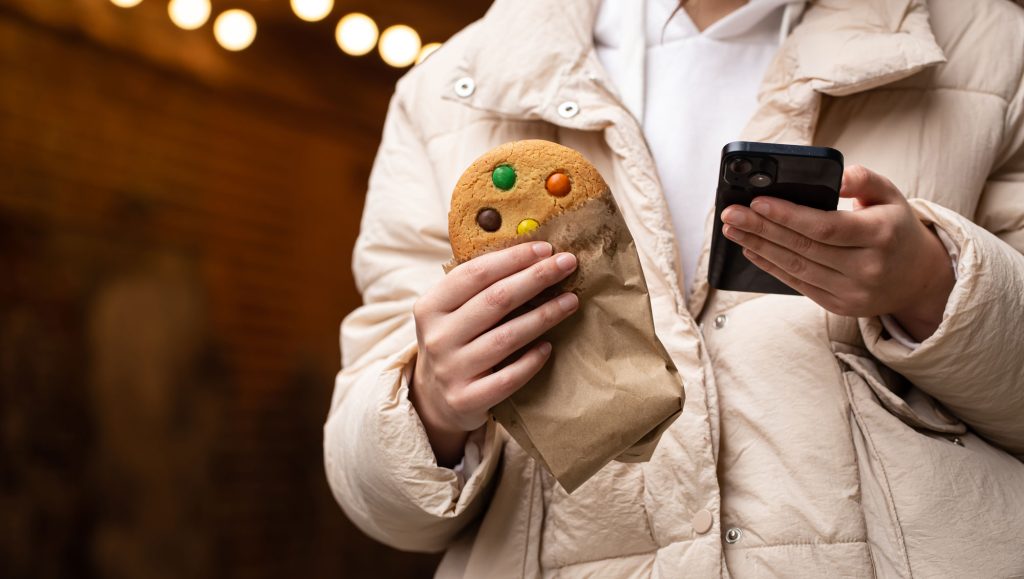beautiful gingerbread smartphone hands woman web